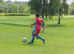 库里获全明,殊荣,文班阿玛尔,半岛体育,体育赛事,体育投注,全球赛事,体育资讯,体育投注