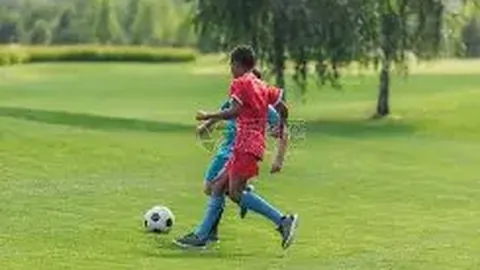 库里获全明星MVP殊荣，文班阿玛尔赛季告终