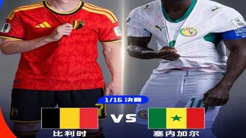半岛体育 113415 5